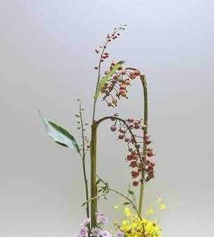有没有人知道插花艺术怎样入门学习，中国历史插花视频