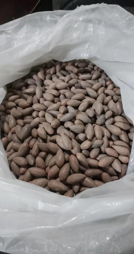 农业电商平台有什么推荐的_在农村什么快递加盟最好呢