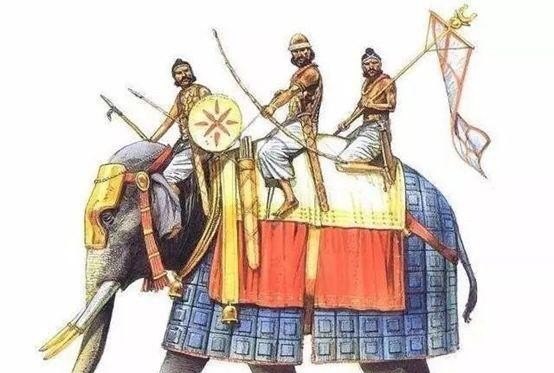 为什么云南有那么多大象,大象与云南历史文化