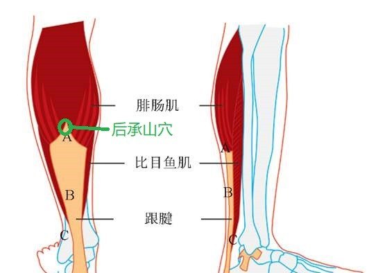 小腿酸胀疼痛是什么原因，小腿酸胀怎么办
