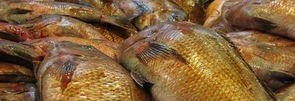 宫廷香酥牛肉饼商用配方详细讲解 宫廷牛肉饼加盟费多少