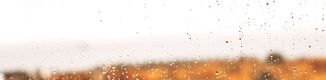 连续下雨屋里很潮湿怎么办 潮盖奶茶加盟