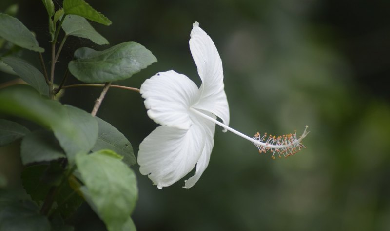 扎心句子短句伤感，句子短伤感