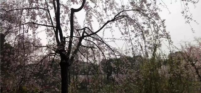 北京入户条件_北京户口怎么办