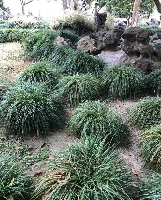 江苏海边城市旅游推荐，江苏城市旅游