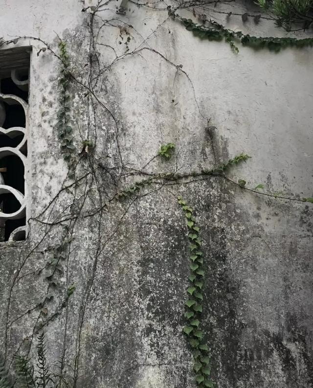 江苏海边城市旅游推荐，江苏城市旅游