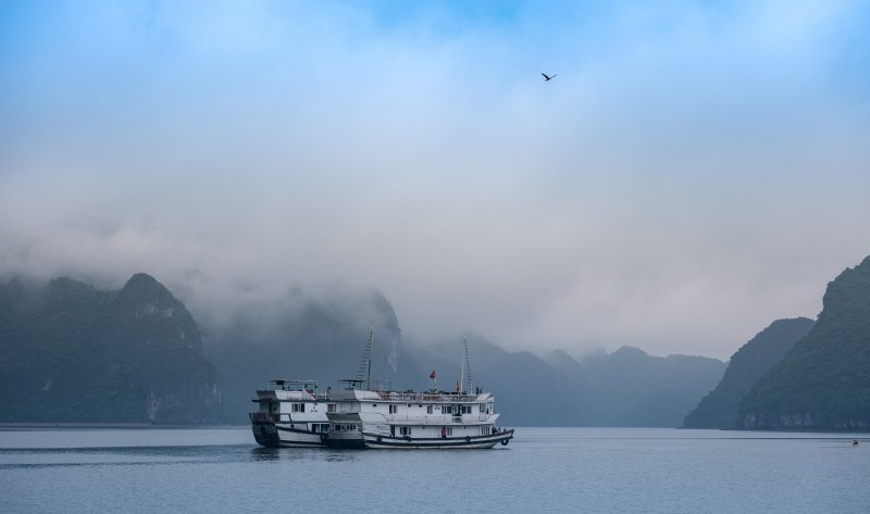 大海文案短句幽默，大海的搞笑的句子