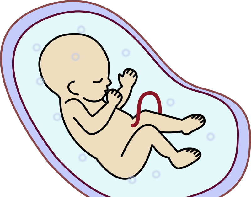 宝宝脐带掉了 肚脐有渗血 应怎样帮宝宝处理,肚脐出血怎么办