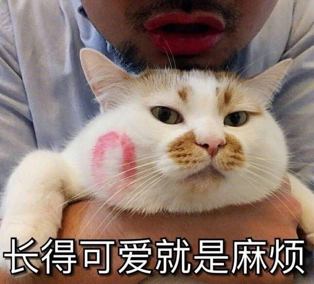 寻10则可以笑死人的笑话，东莞好用的镜子加盟店推荐