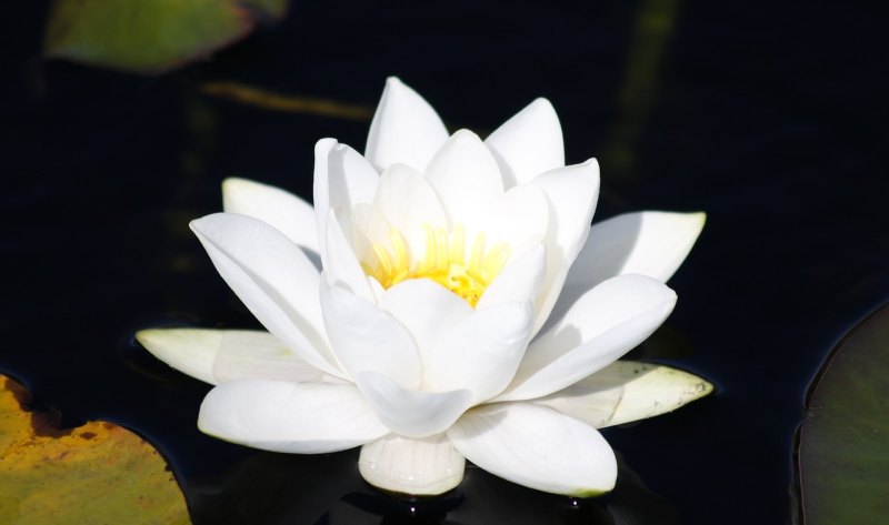 伤感句子短句,说短句子伤感