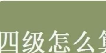 怎么查询四级成绩_英语四级如果过了是发证书还是成绩单