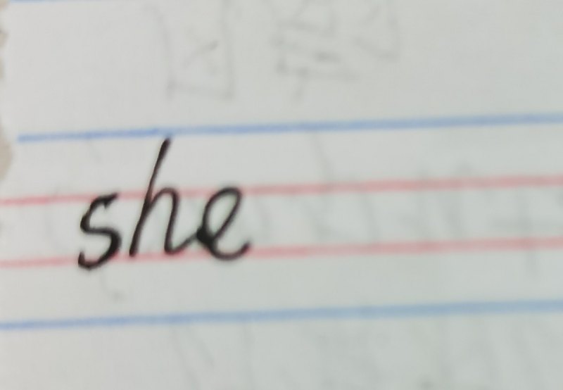 她很文静he is什么什么填空,她英语
