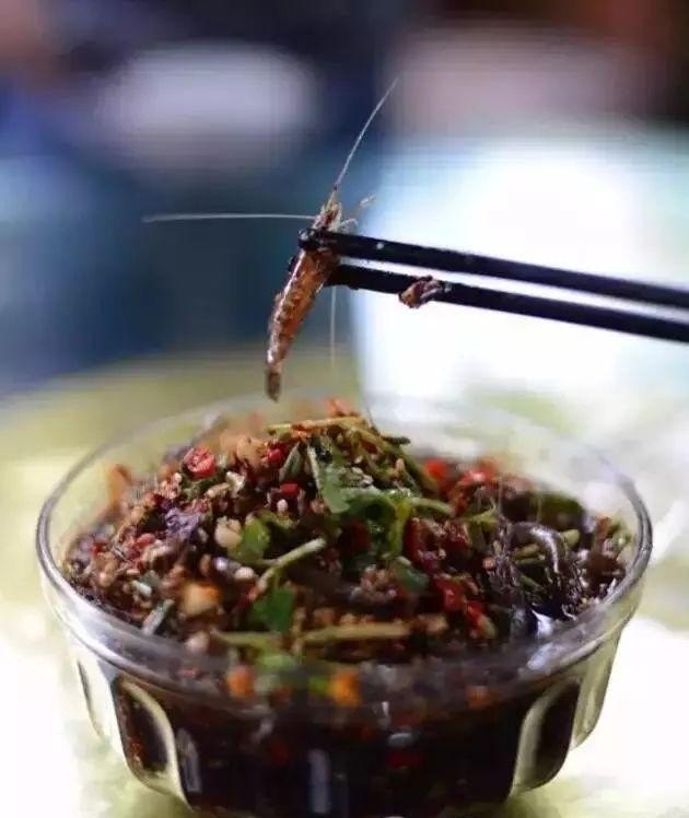 西昌十大必吃馆子,西昌琼海美食推荐店有哪些地方好玩