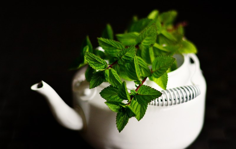 形容茶香四溢的唯美句子，赞美茶的幸福句子有
