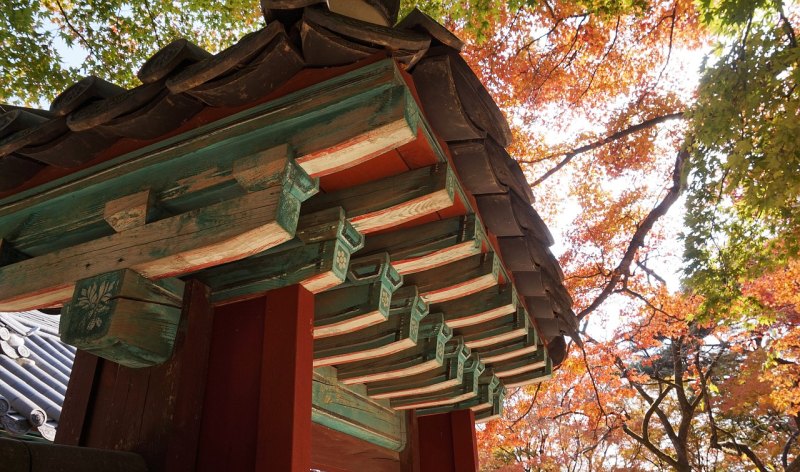 平邑秋天好玩的地方 平邑 旅游