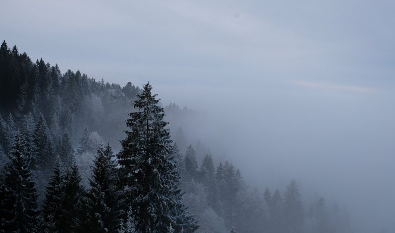 雨中送伞雪中送炭的暖心句子_起风了文案短句干净治愈