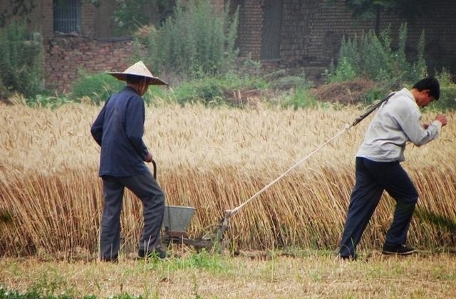 上野食习俗,上野食习俗