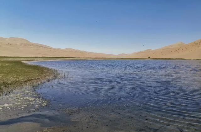 外出旅行需要带哪些必备药品，旅游药品清单