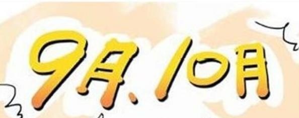 2021年10月京东手机销量排名,十一月汽车销量排行排行榜