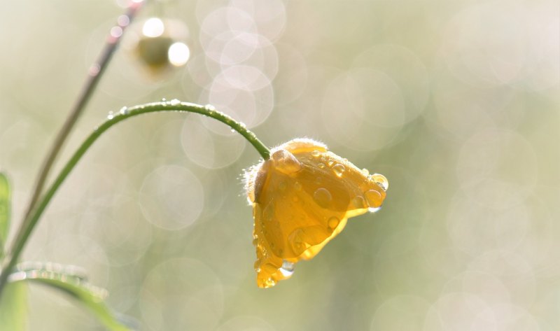 父母不在身边亲情的句子唯美简短,家人句子唯美简短的