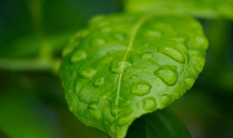 下雨天忧伤文案,伤感下雨天的句子