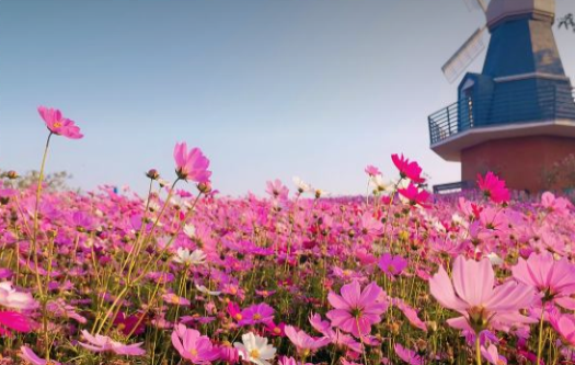 三亚海花岛旅游攻略_海口海花岛旅游攻略