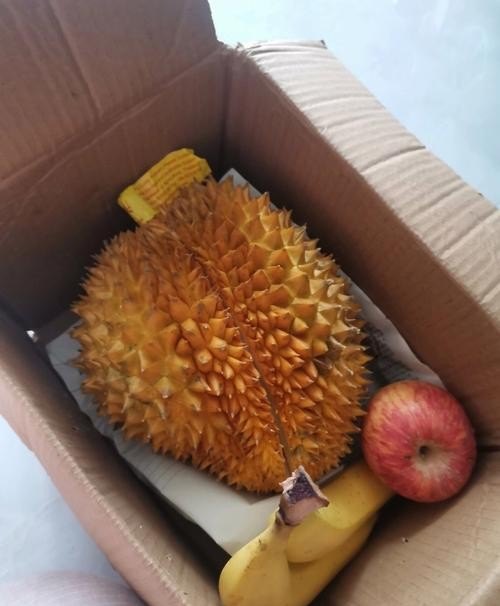 买回来榴莲是生的怎么办,生榴莲怎么办