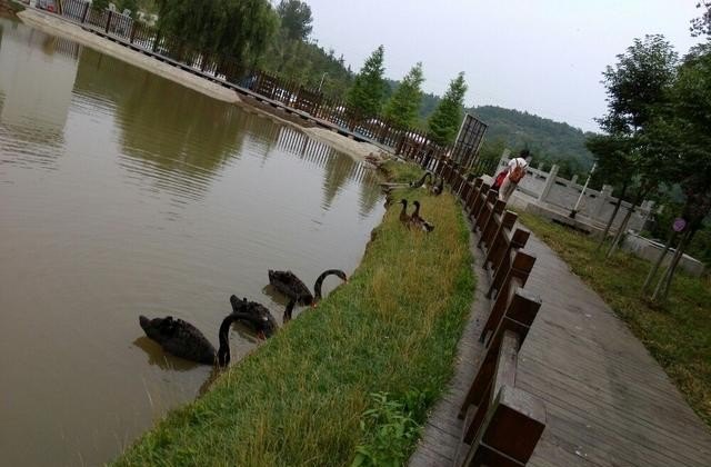 临淄区的旅游景点,临淄旅游