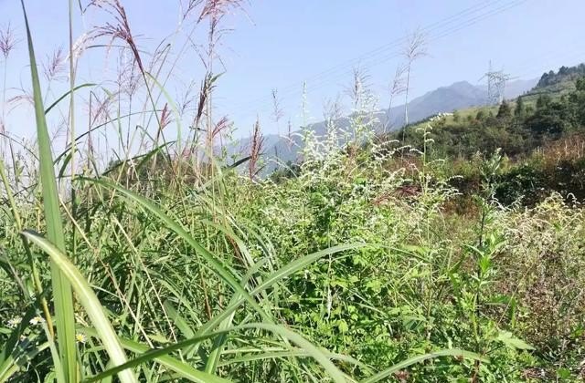 太原三郎洞原生态旅游景点门票,原生态旅游