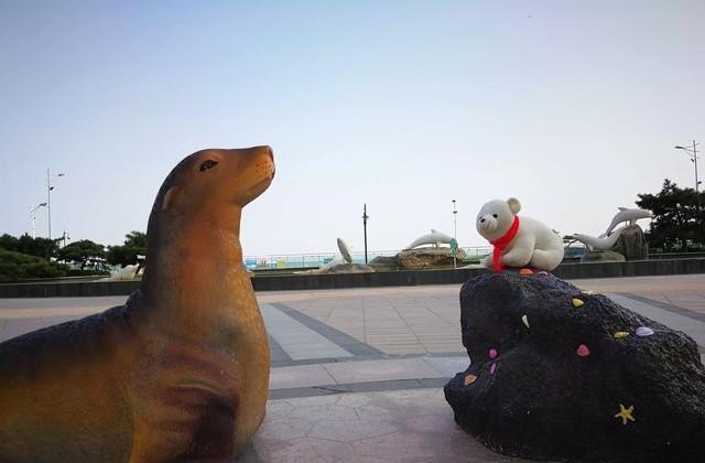 去海边应该带哪些必备品,海边旅游必备