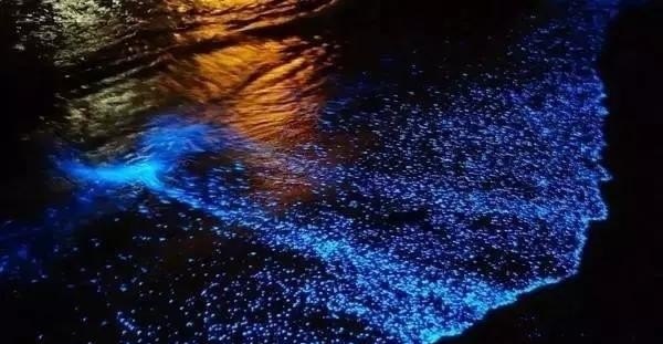 世界十大奇观是什么_世界历史十大神秘事件视频