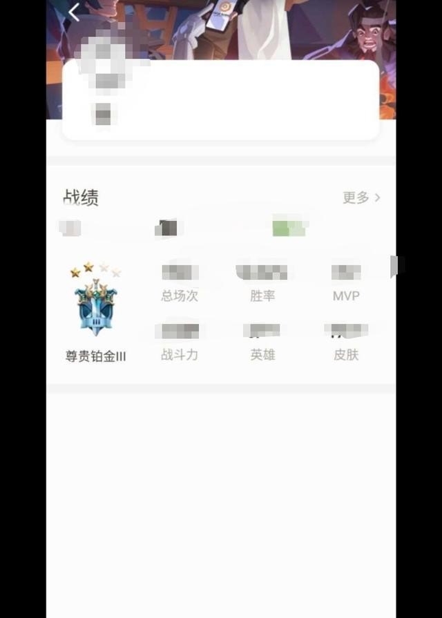 王者荣耀怎么可以看见别人战绩_王者荣耀的战绩隐藏了。有什么办法用其他途径去查看别人的战绩