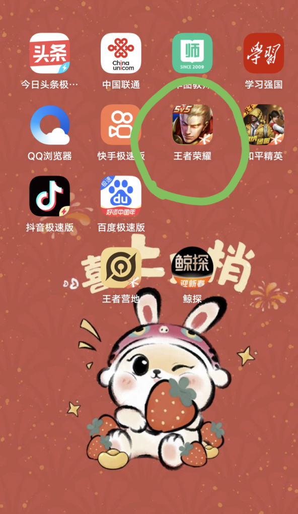 王者荣耀关闭贵族怎么弄_王者荣耀怎样关掉贵族显示