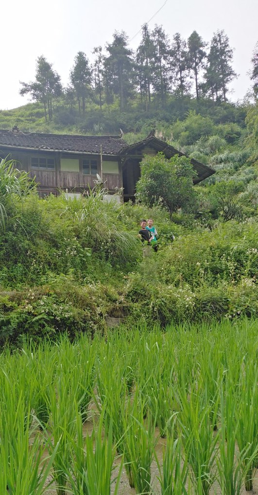 广西桂平市大湾镇大湾村东街在哪,桂平大湾历史人物