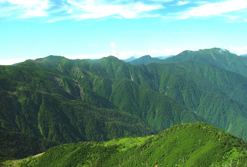 青山绿水放牛诗句 牛背雨里喜欢的句子