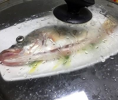桂鱼为什么叫桂鱼，清蒸桂鱼的历史文化
