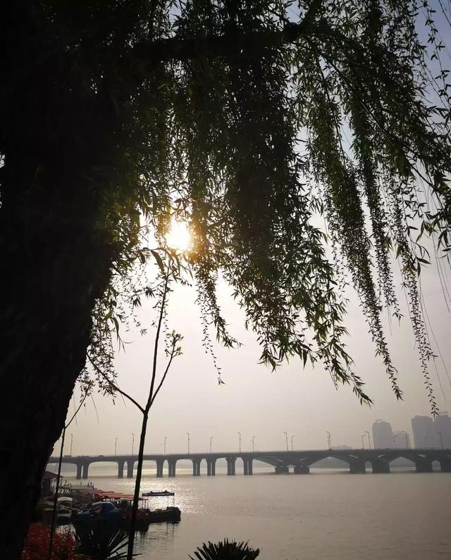 河南南阳这个城市怎么样，晋中烧鸡品牌加盟