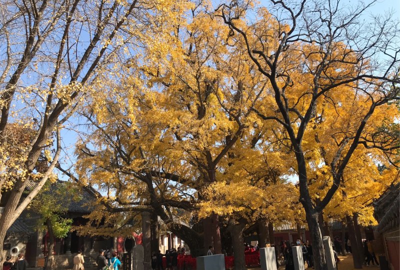 日照有什么特色艺术品_怎么用橡皮泥捏观音菩萨