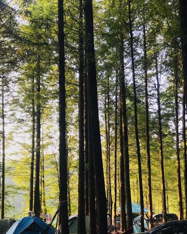 摄影在我们生活中发挥了哪些作用，摄影历史的资料故事