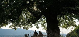 托幼机构办园条件_西安静竹文化靠谱吗