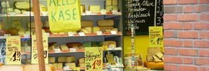 深圳绿道排名前十,深圳线上鲜花店加盟店排行