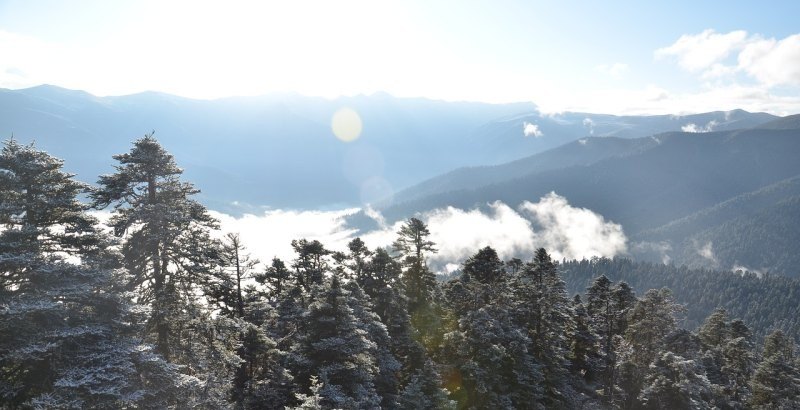 原神绝云山间遇仙怎么过,原神绝角色攻略