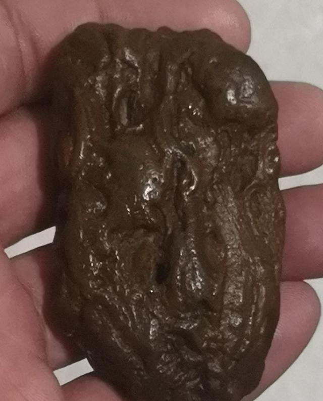 石陨石，铁陨石，石铁陨石，哪种陨石最值钱_世界历史物价