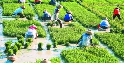 南丰跳傩的含义，南丰正月习俗