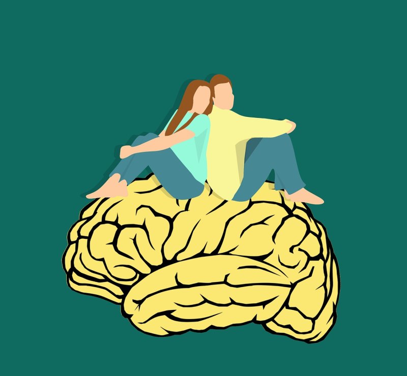 不跟没脑子的人计较的句子,跳出头脑融入生活句子