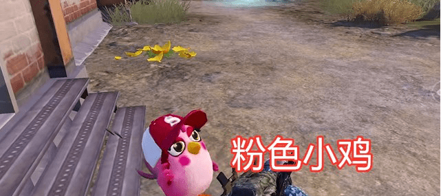 怎么在电视上玩和平精英_和平精英小鸡怎么看敌人