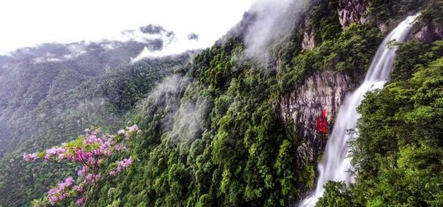 安远县特产是什么,安远建筑和历史文化