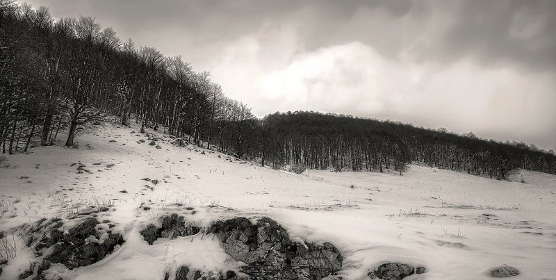 原神新手雪山攻略_原神攻略新手进城后怎么