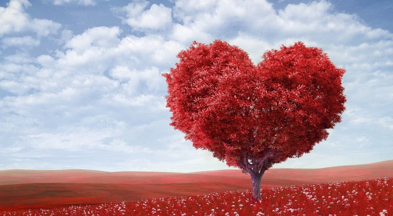 lover的含义,谈恋爱英语怎么说