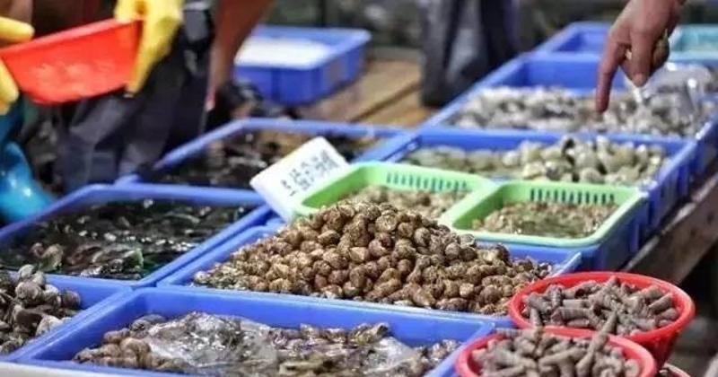 惠州满汉全席的108道菜，惠州鲍鱼的历史故事